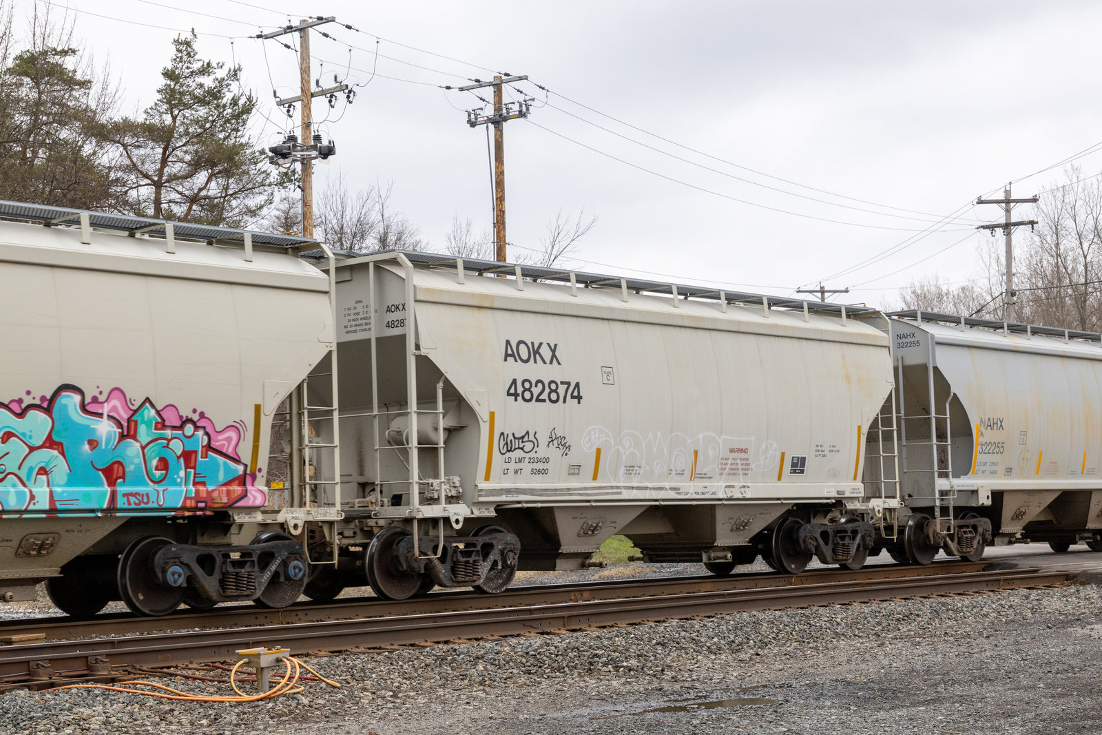AOKX 482874