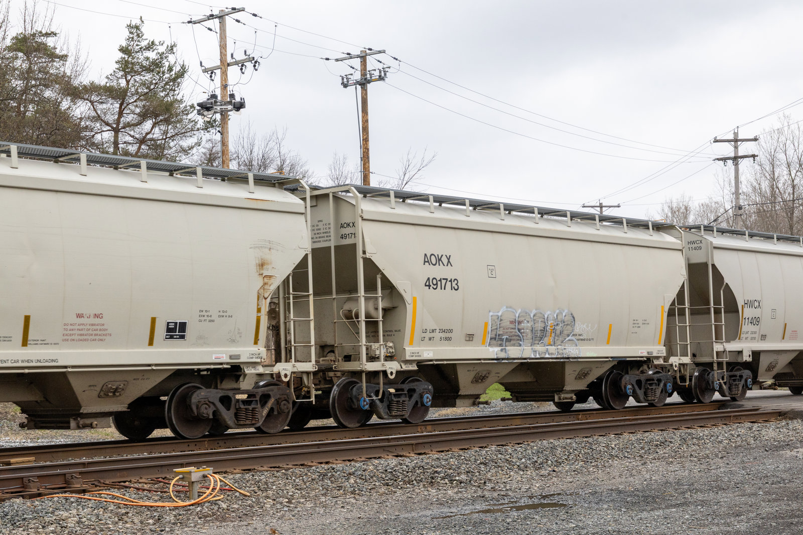 AOKX 491713