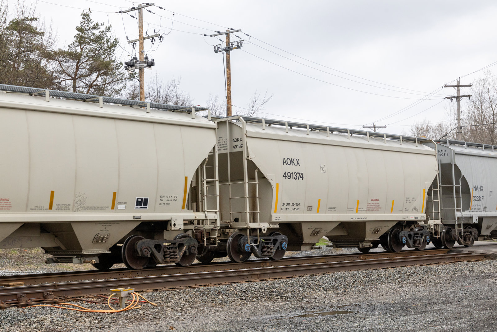 AOKX 491374