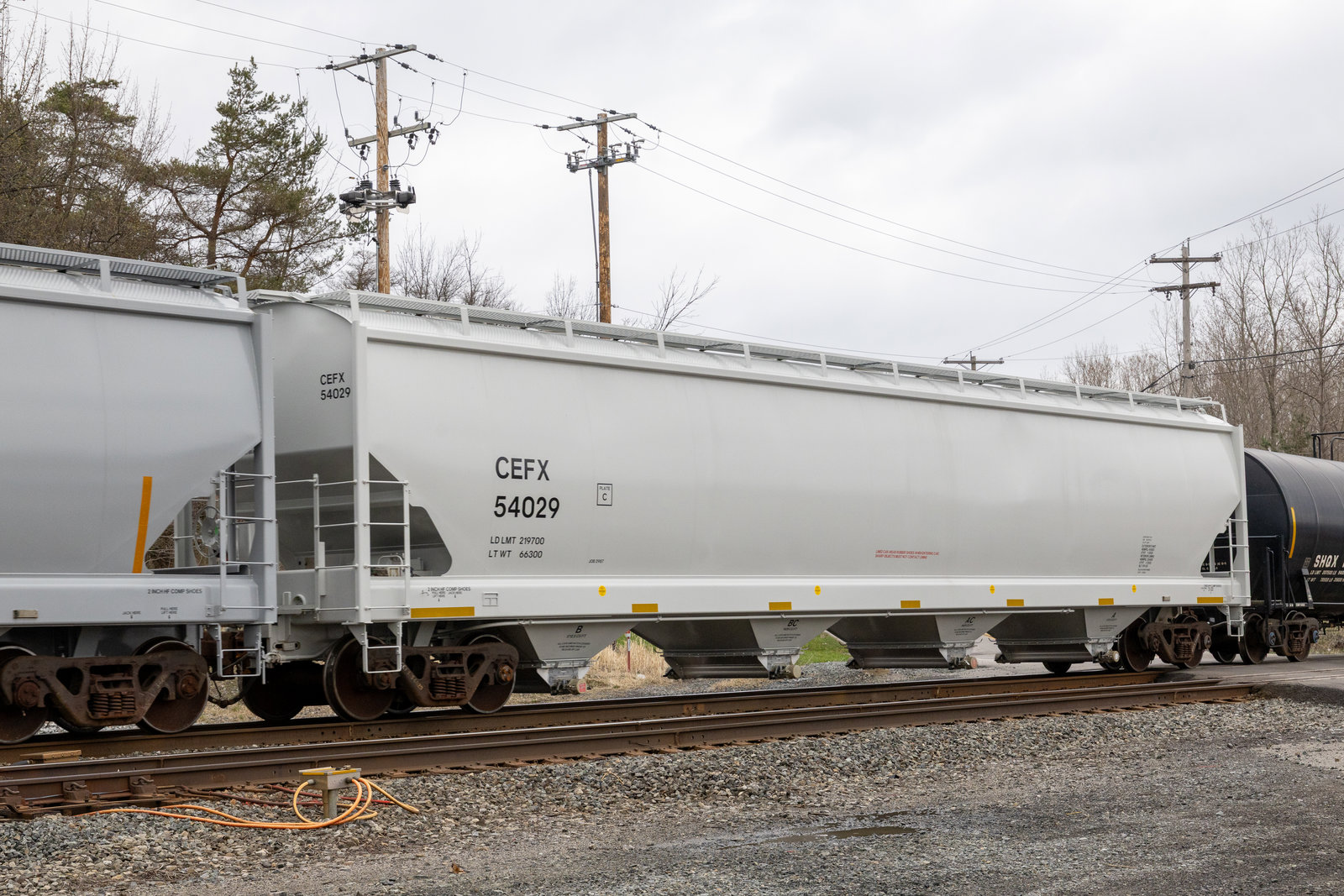 CEFX 54029