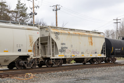 CEFX 304706