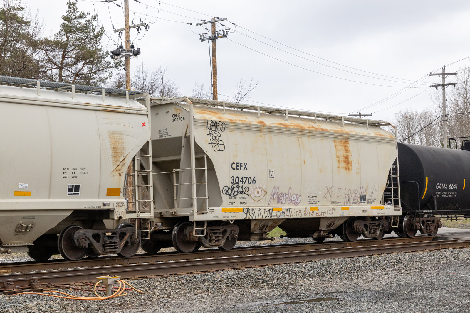 CEFX 304706