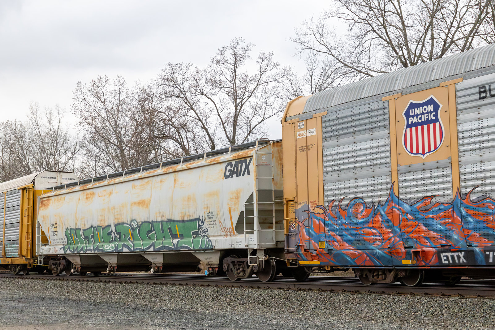 GPLX 77937