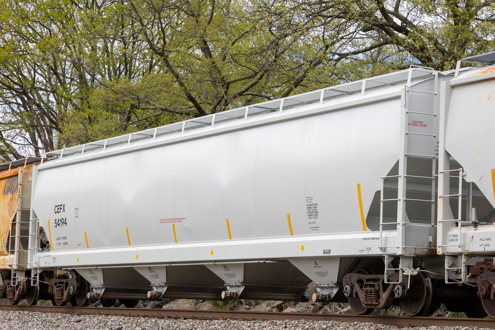 CEFX 54194