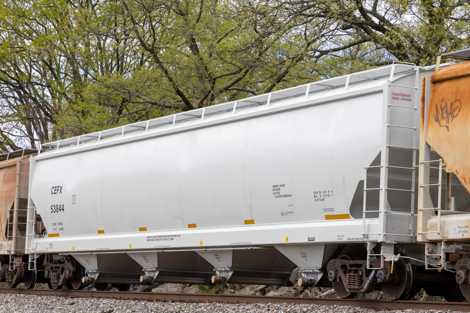 CEFX 53844