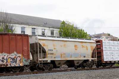 CRDX 21049