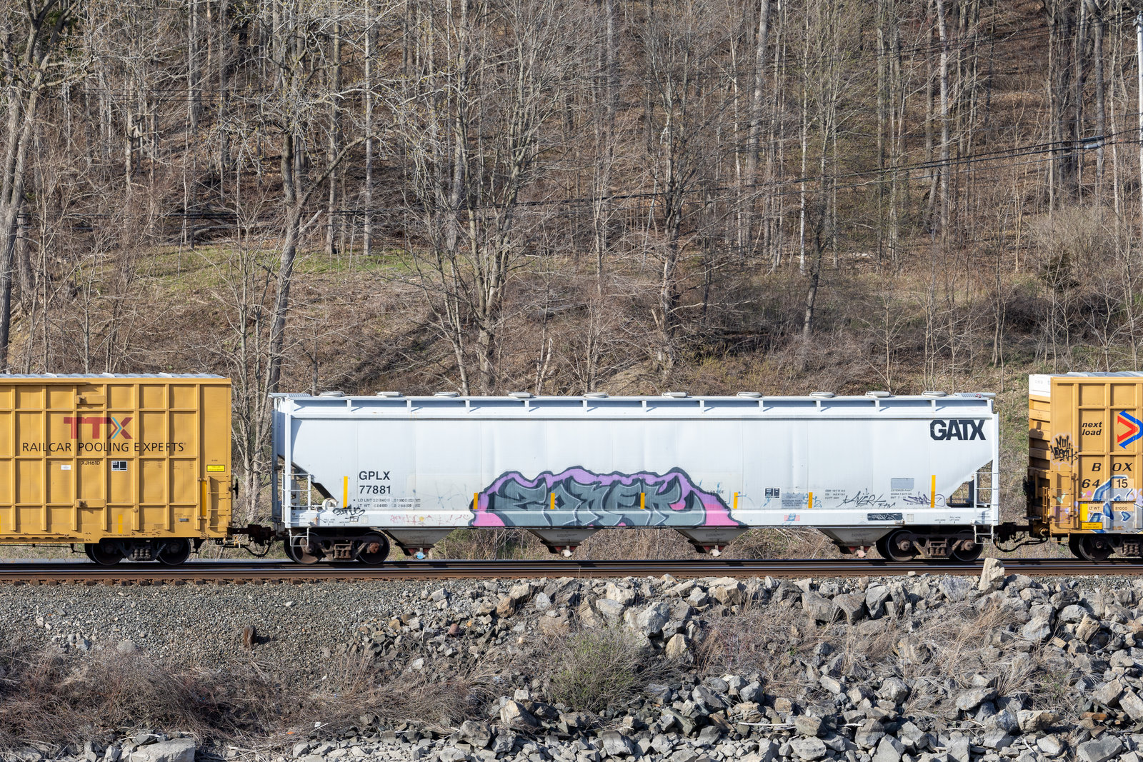 GPLX 77881