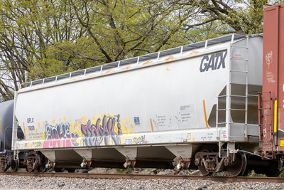 GPLX 78028