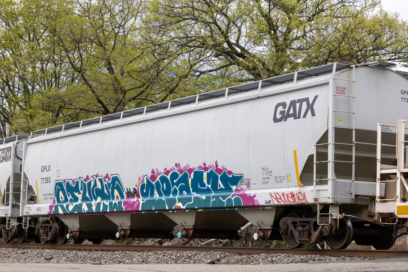 GPLX 77393