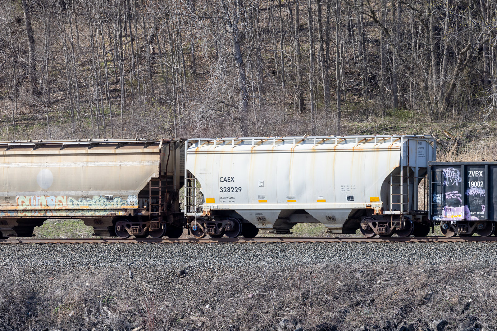 CAEX 328229