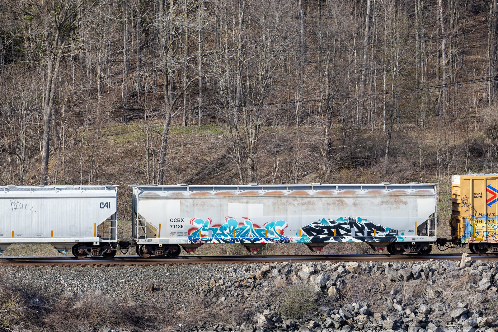CCBX 71136
