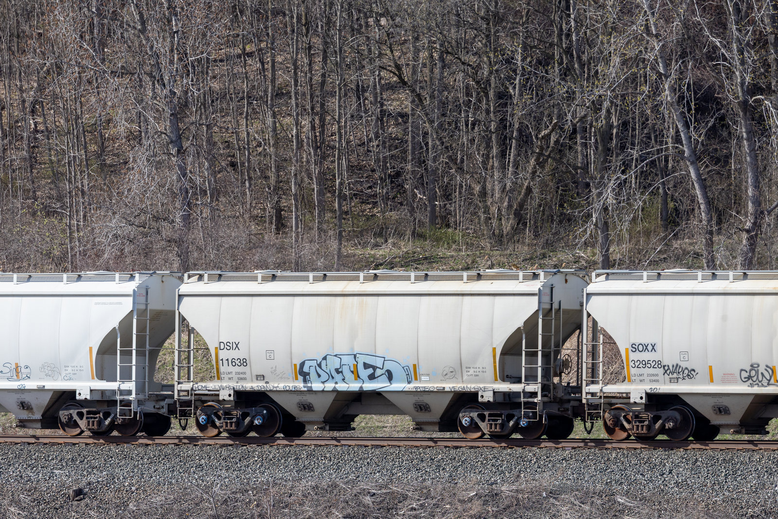 DSIX 11638