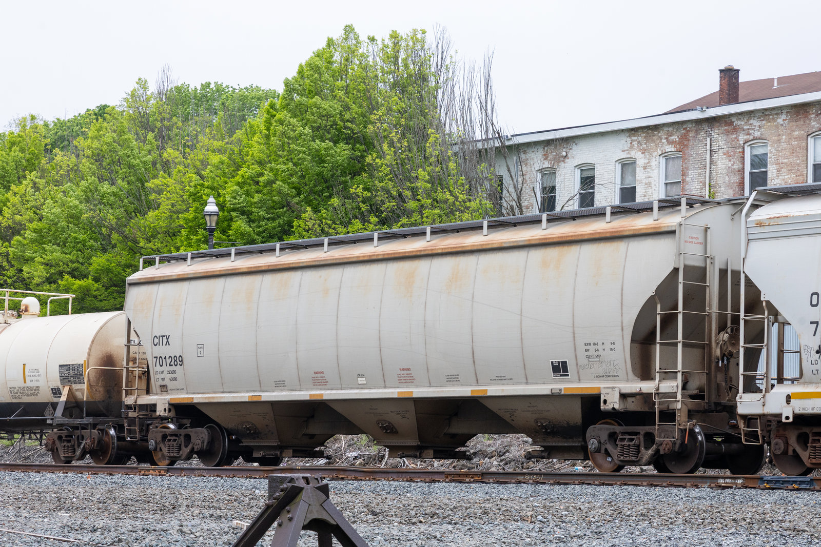 CITX 701289