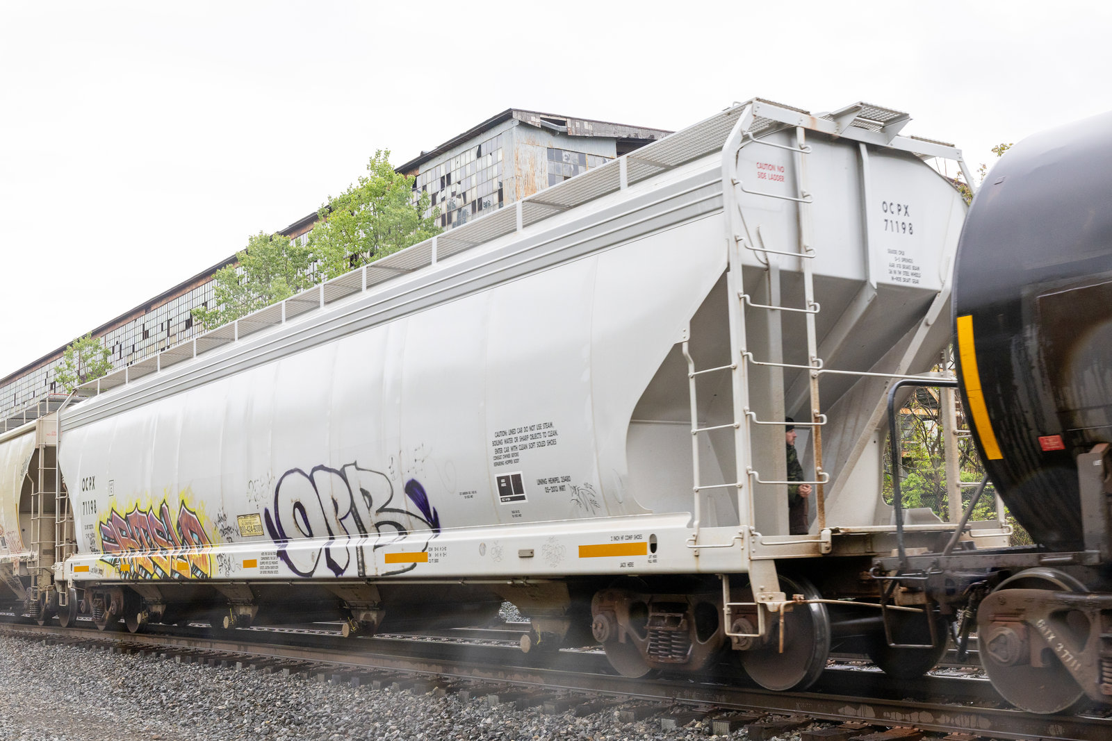 OCPX 71198