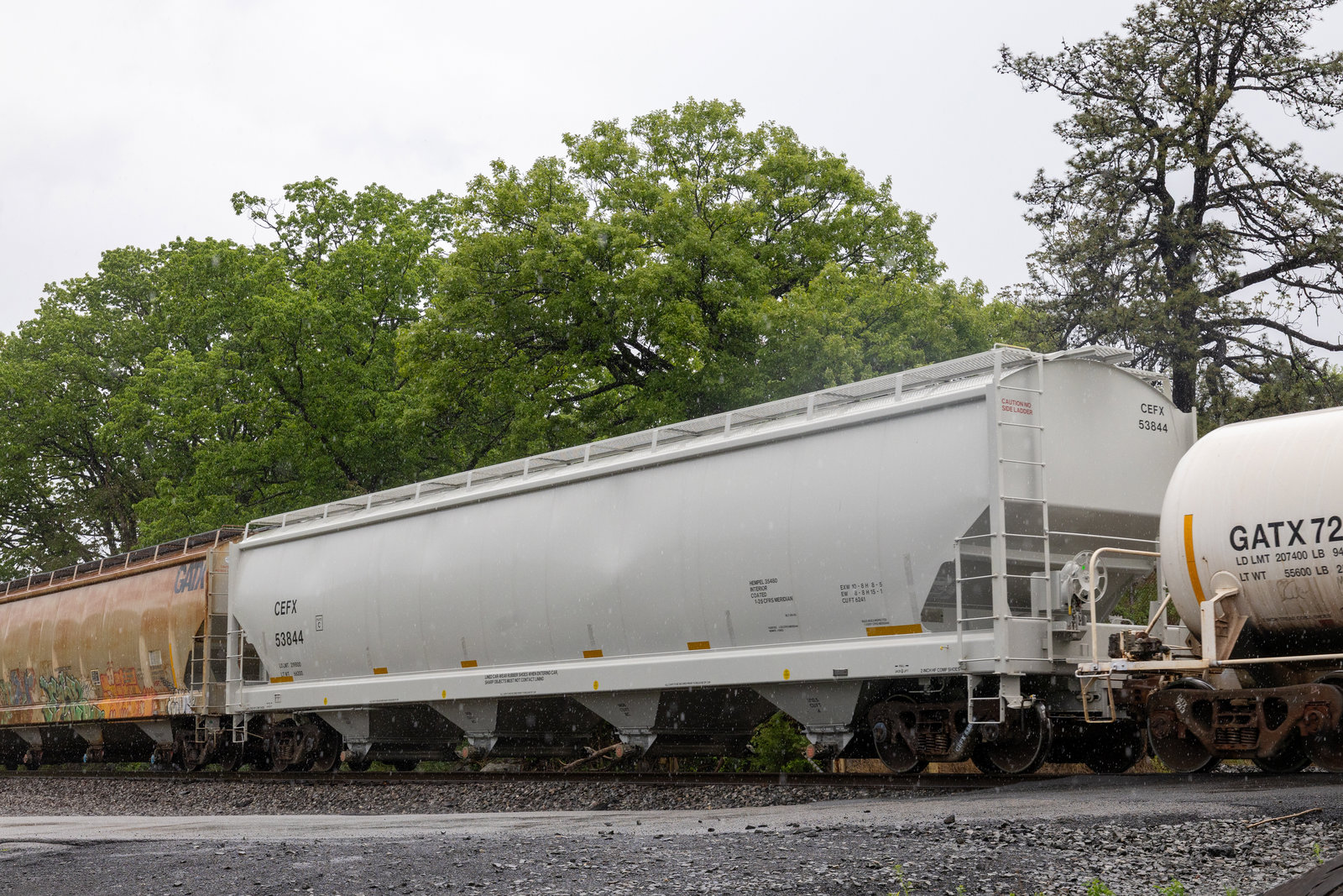 CEFX 53844