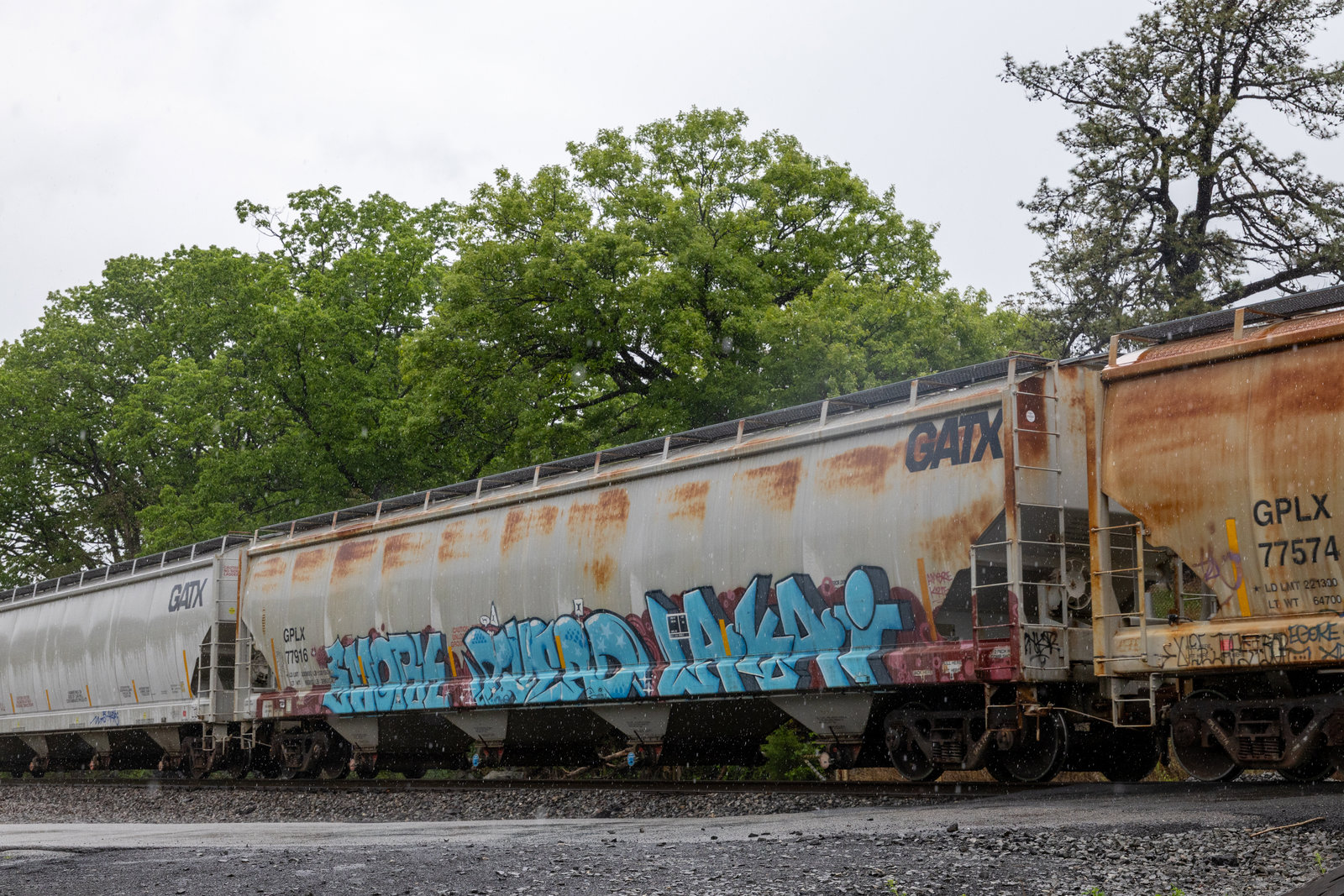 GPLX 77916