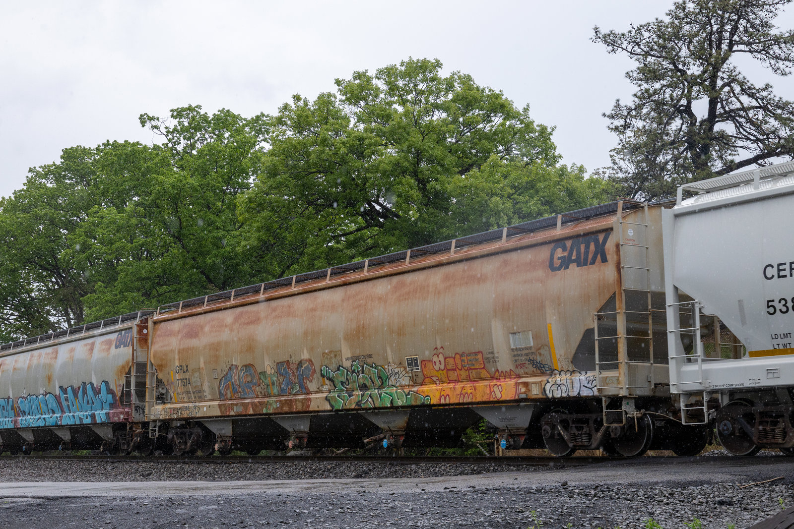 GPLX 77574
