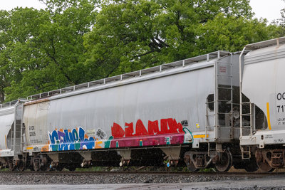 GVDX 2005