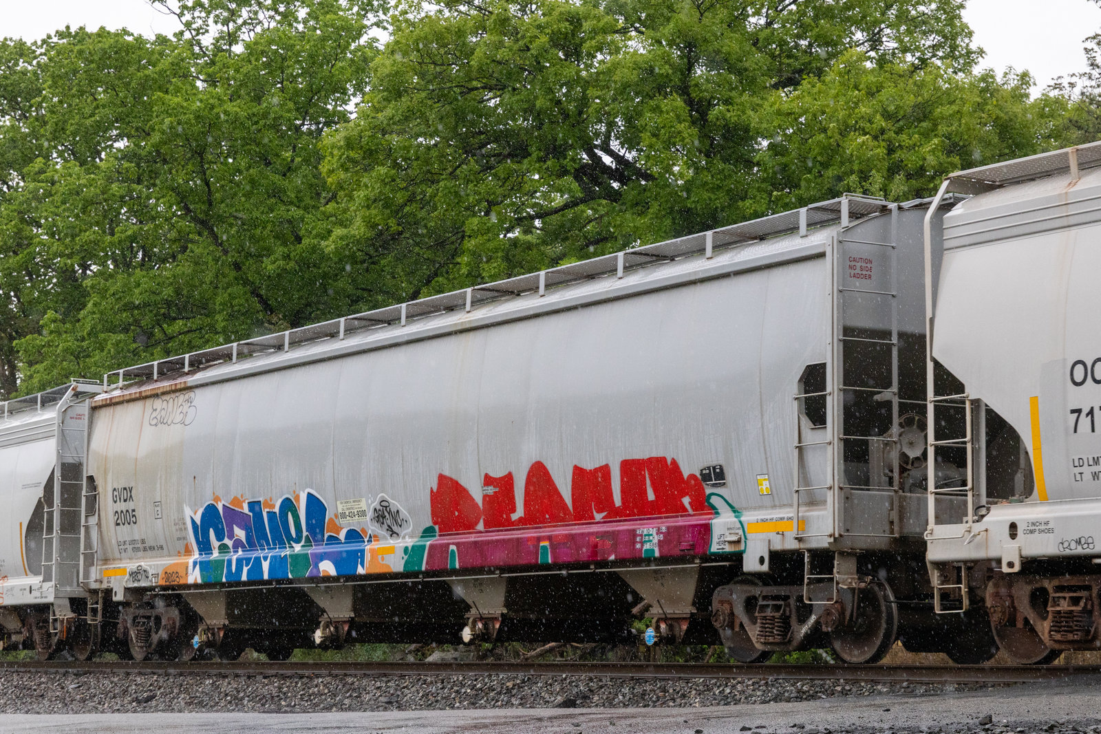GVDX 2005