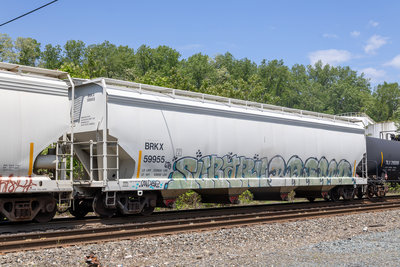 BRKX 59955