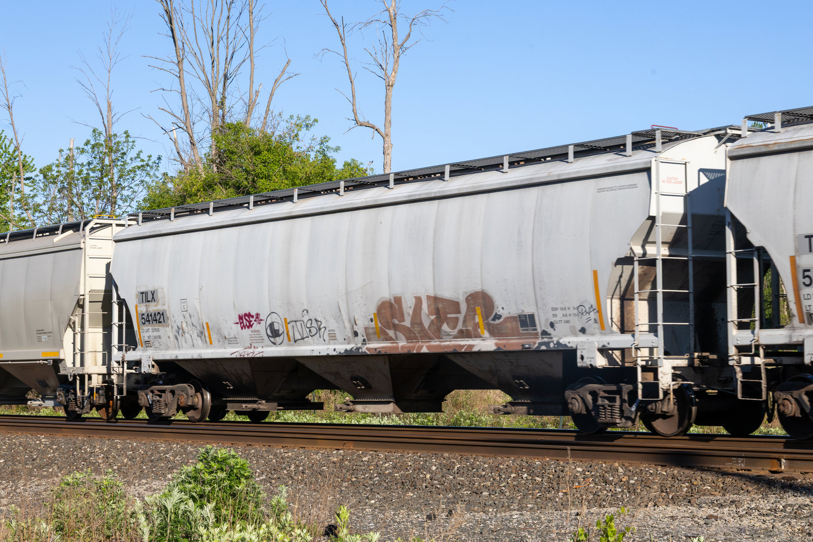 TILX 541421