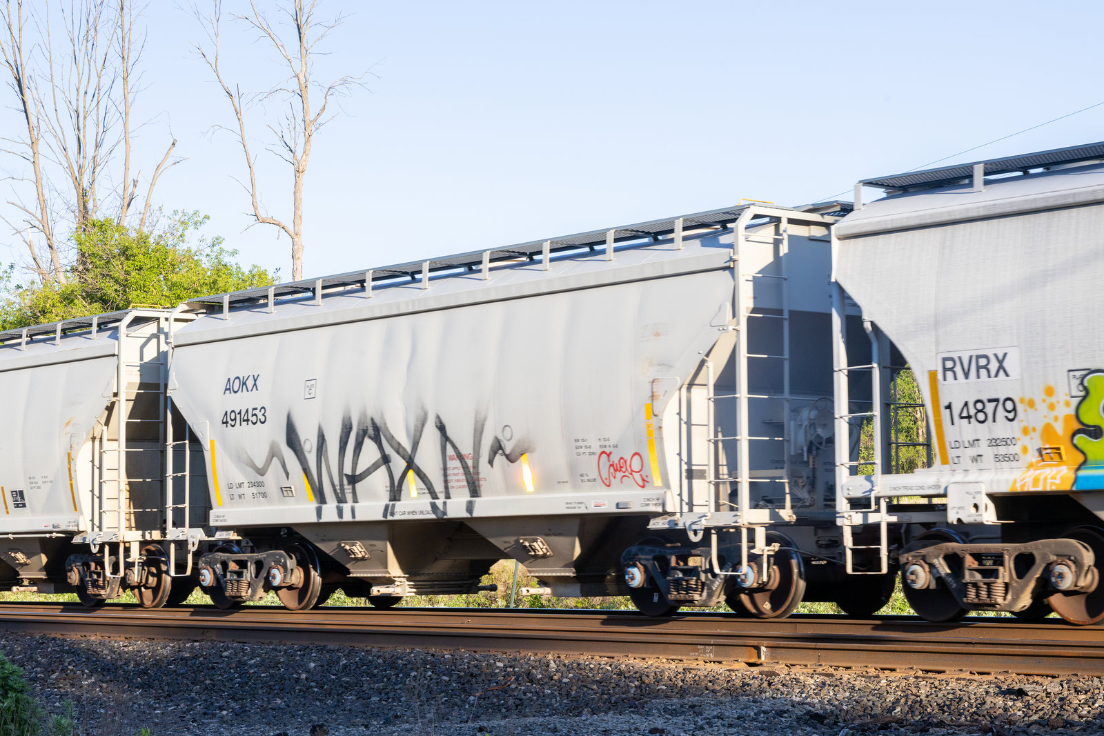 AOKX 491453