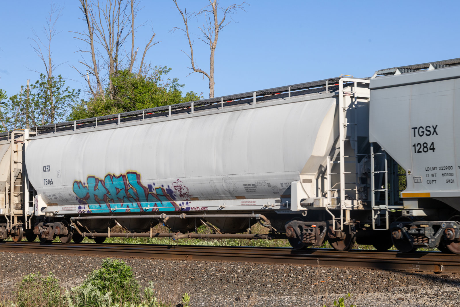 CEFX 75465