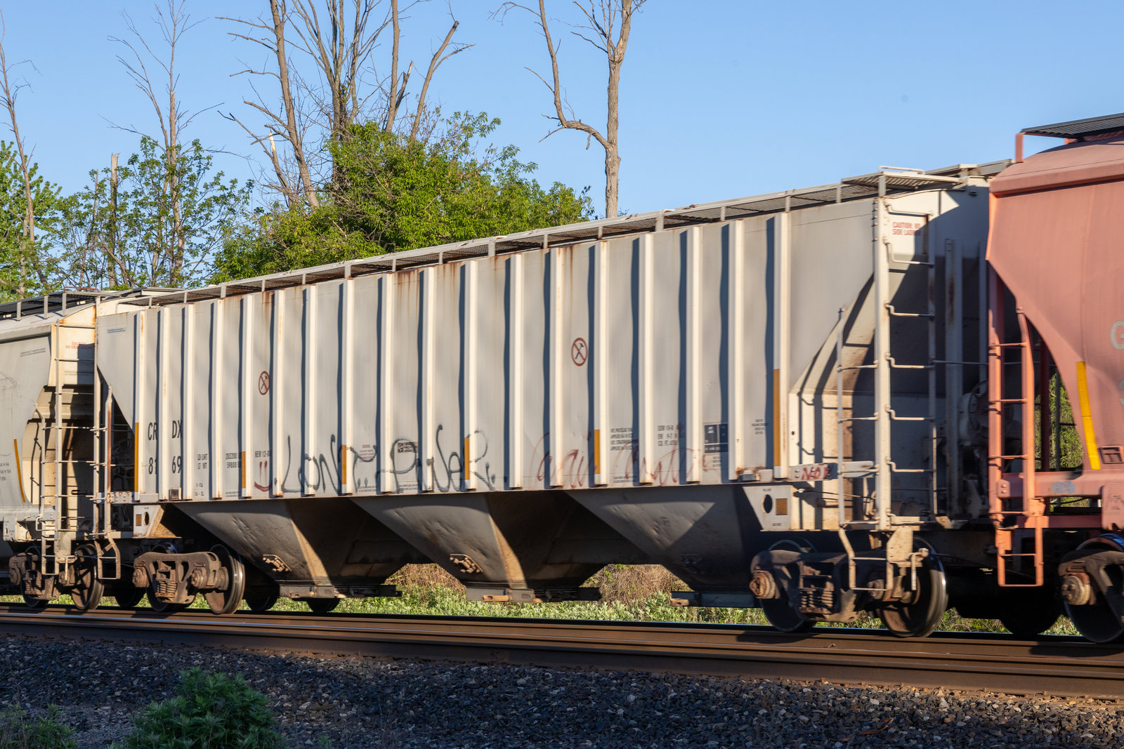 CRDX 8169