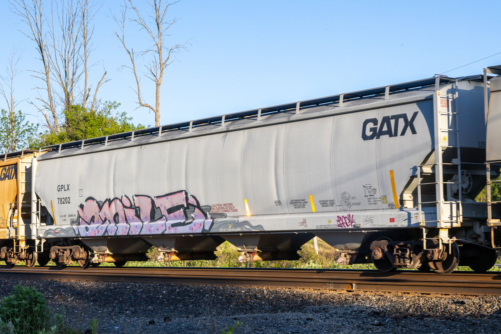 GPLX 78202