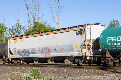 GPLX 77461
