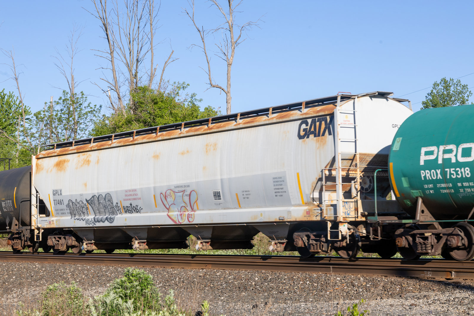GPLX 77461