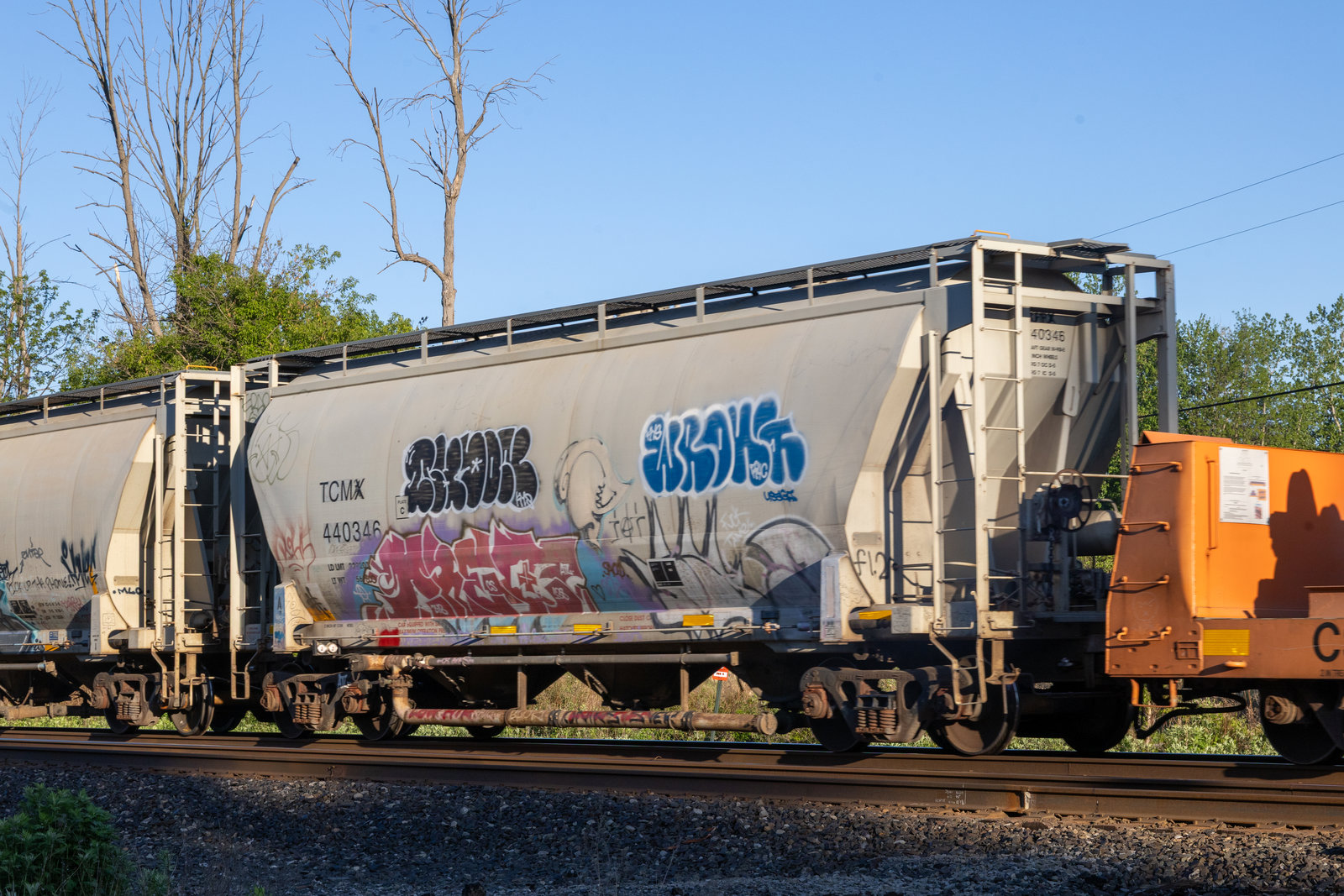 TCMX 440346