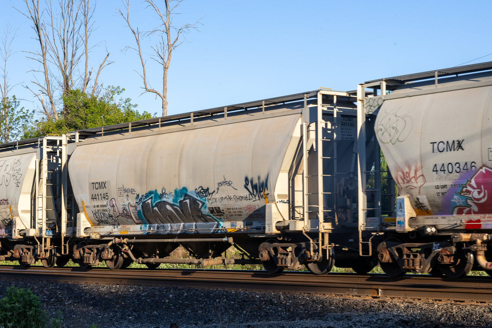 TCMX 441145