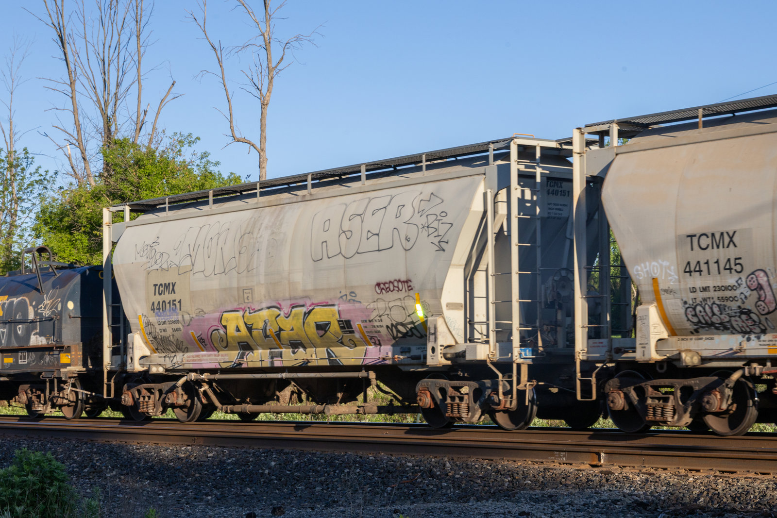 TCMX 440151