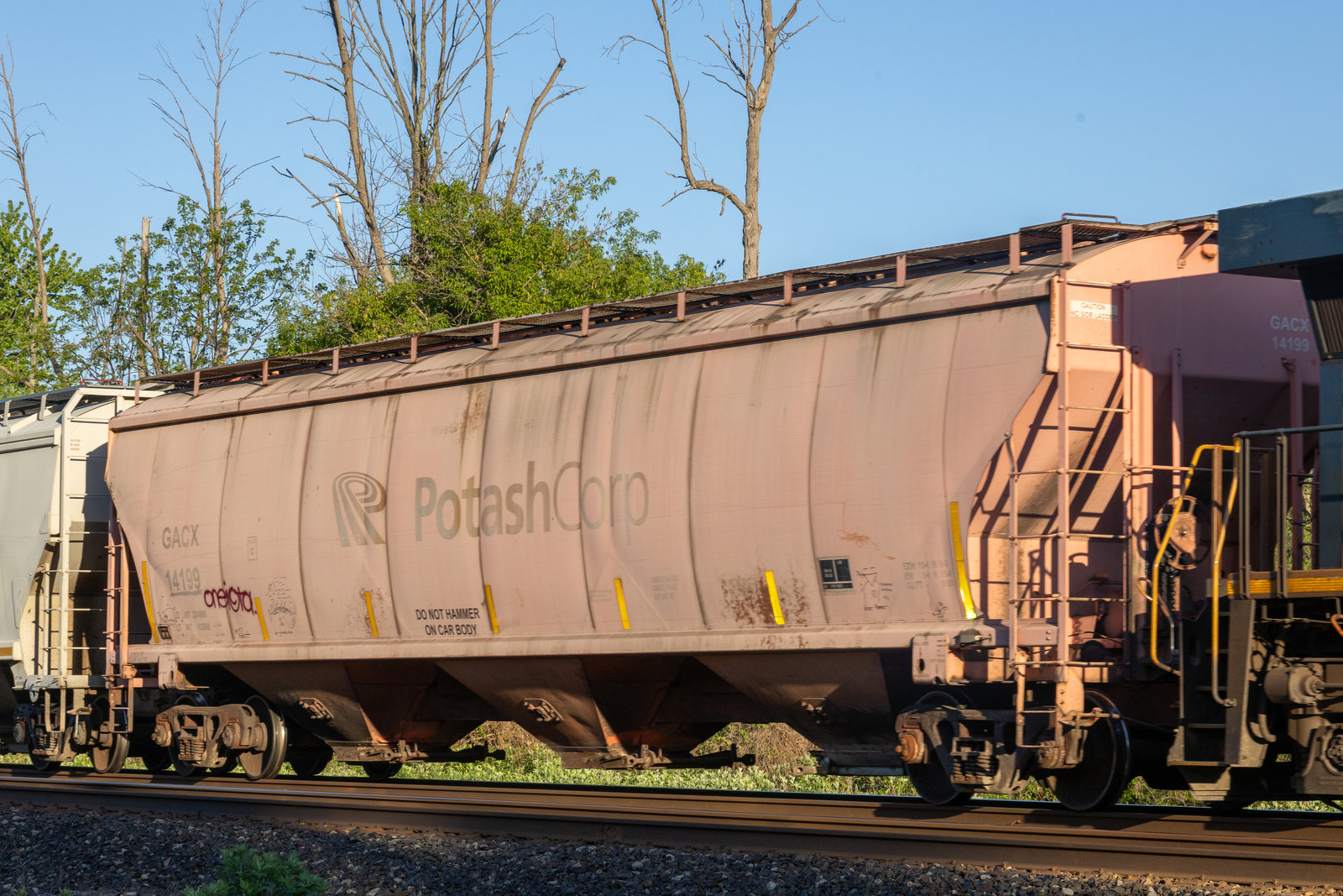 GACX 14199