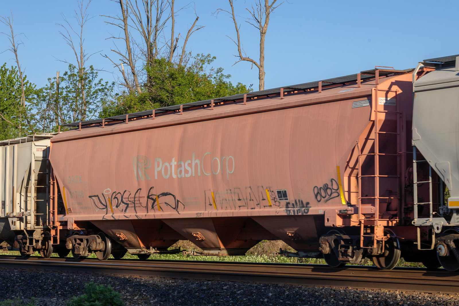 GACX 31748
