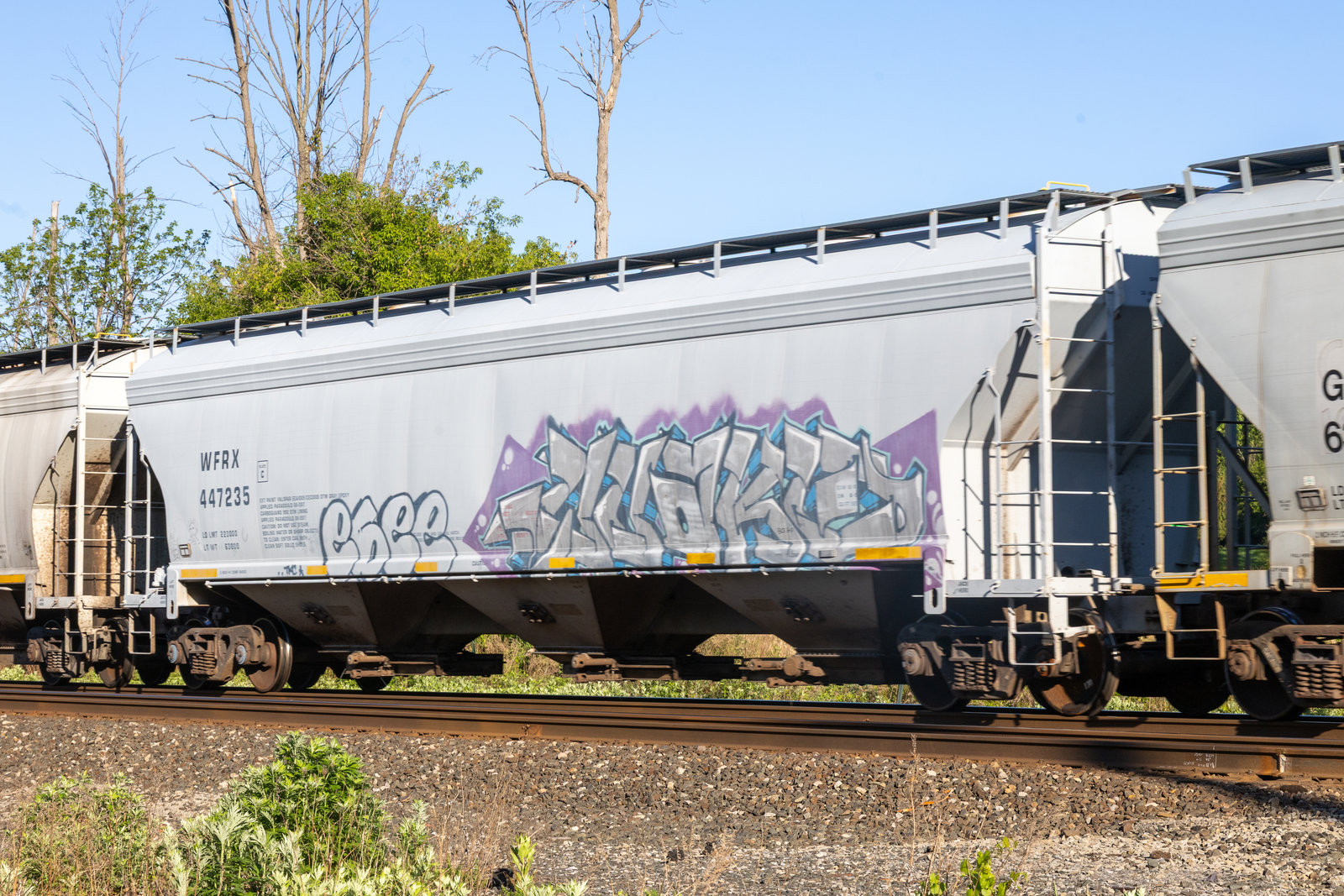 WFRX 447235