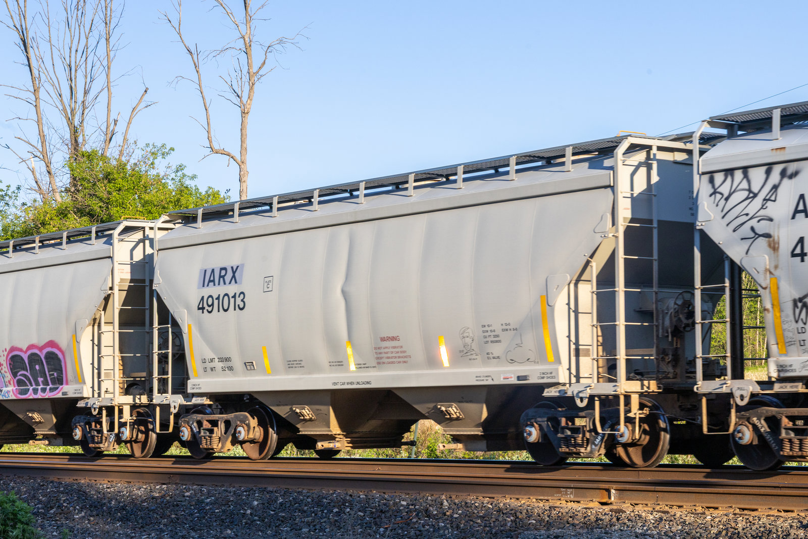 IARX 491013