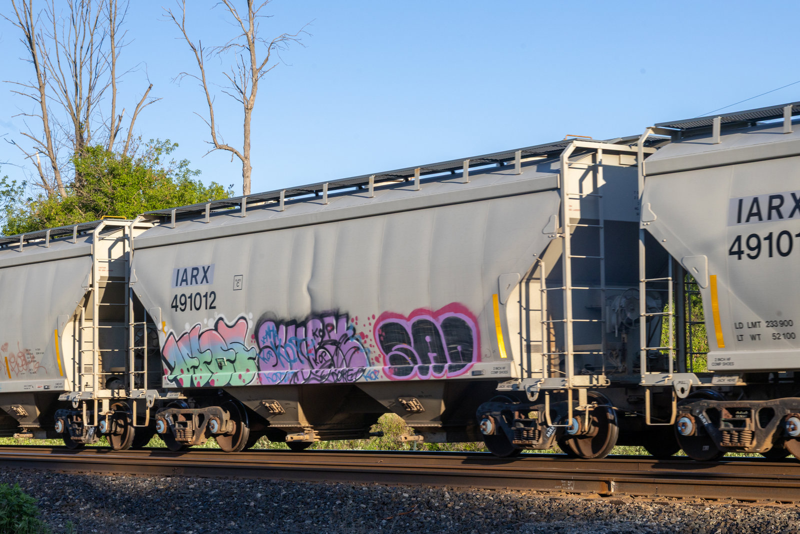 IARX 491012