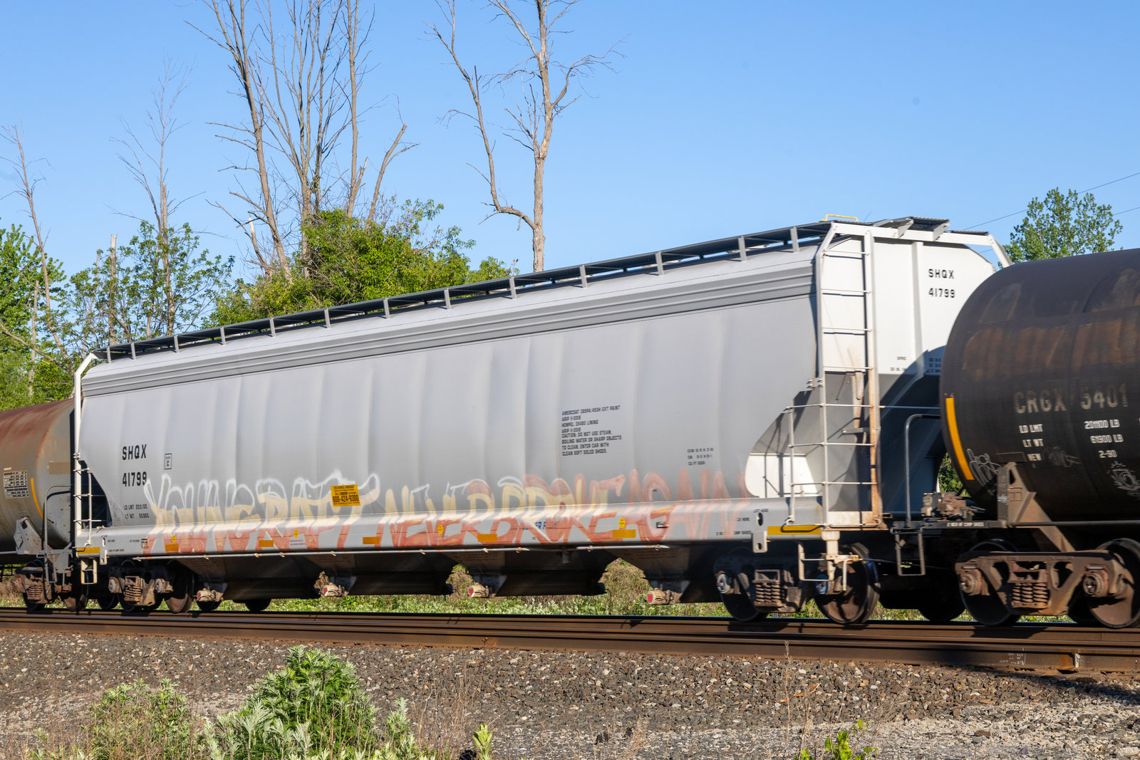 SHQX 41799