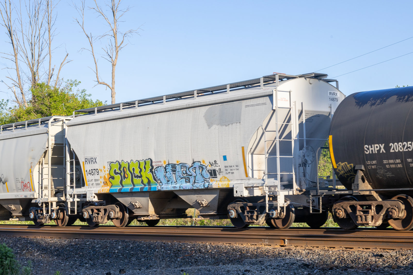 RVRX 14879
