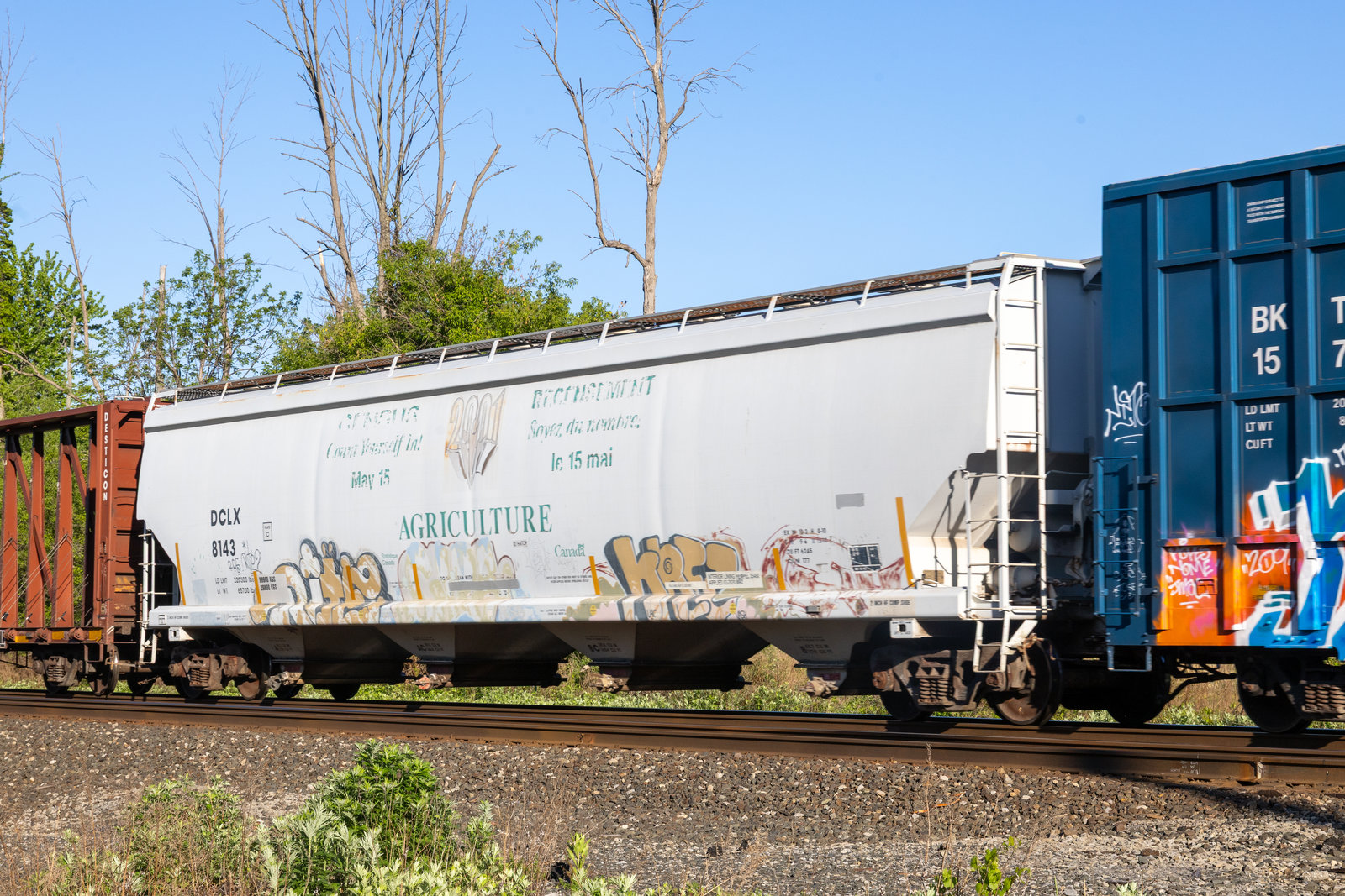 DCLX 8143