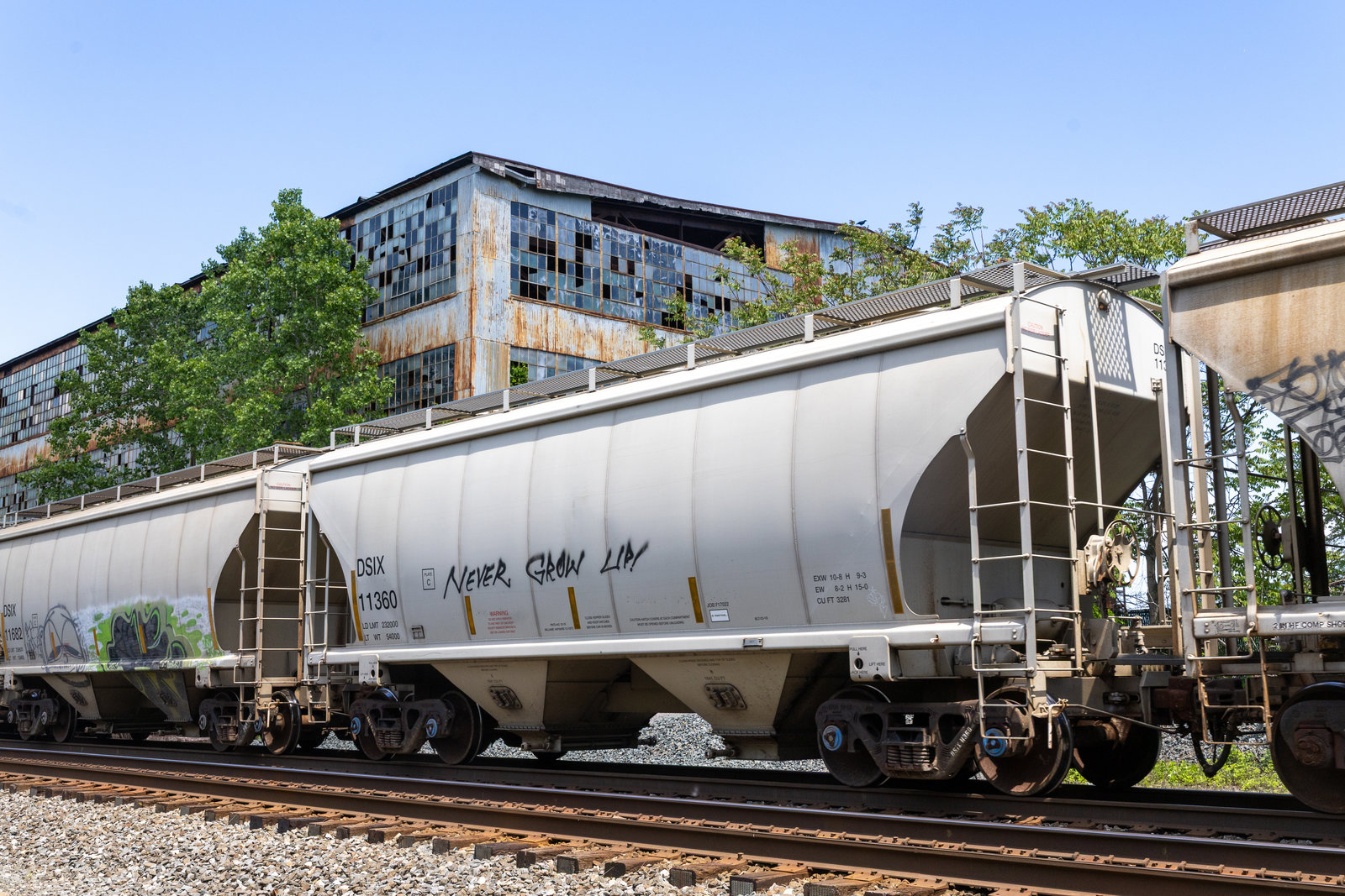 DSIX 11360