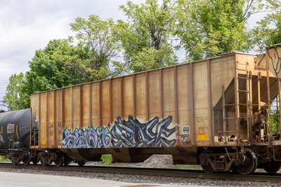 LANX 8115