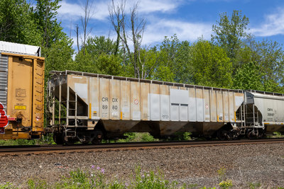 CRDX 8980