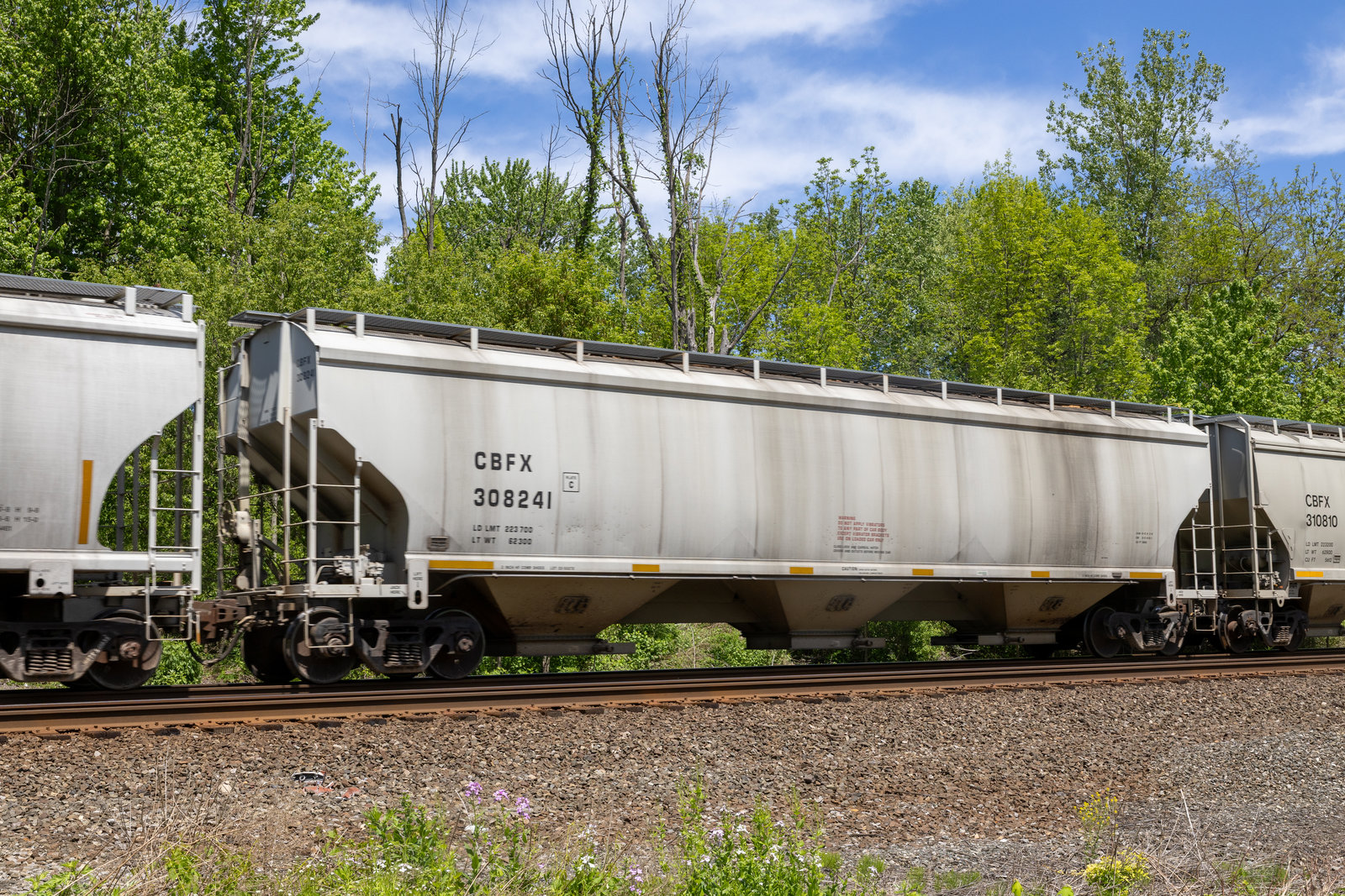 CBFX 308241