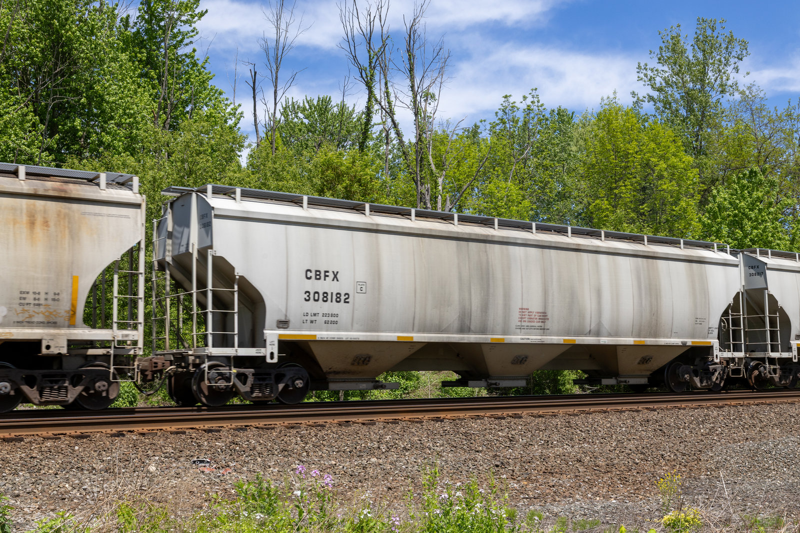CBFX 308182