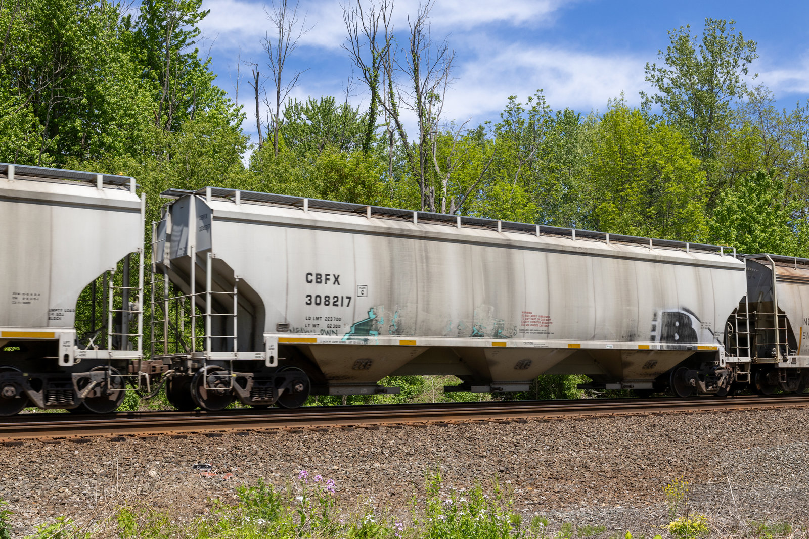 CBFX 308217