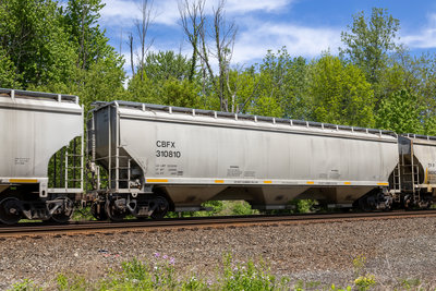 CBFX 310810