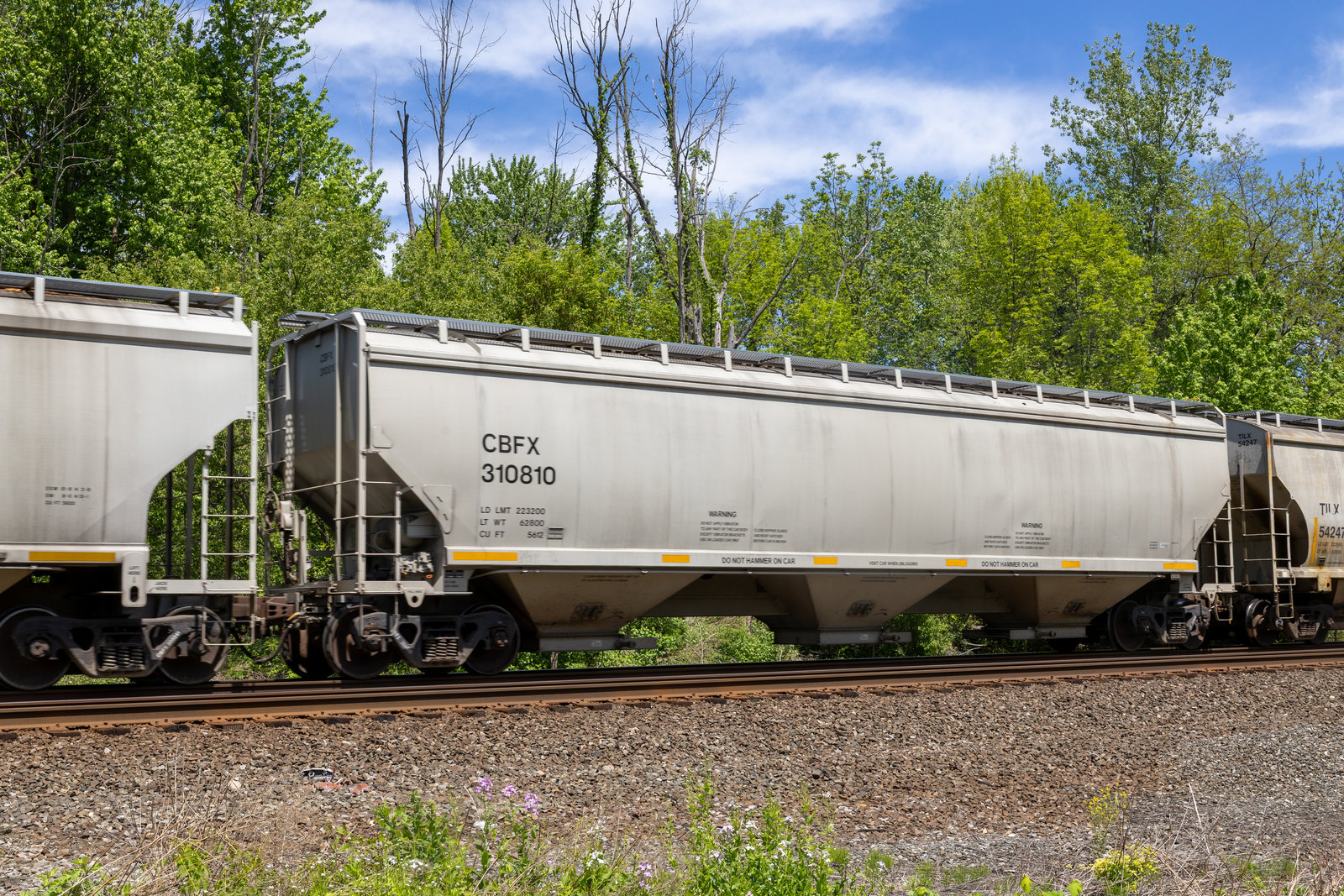 CBFX 310810